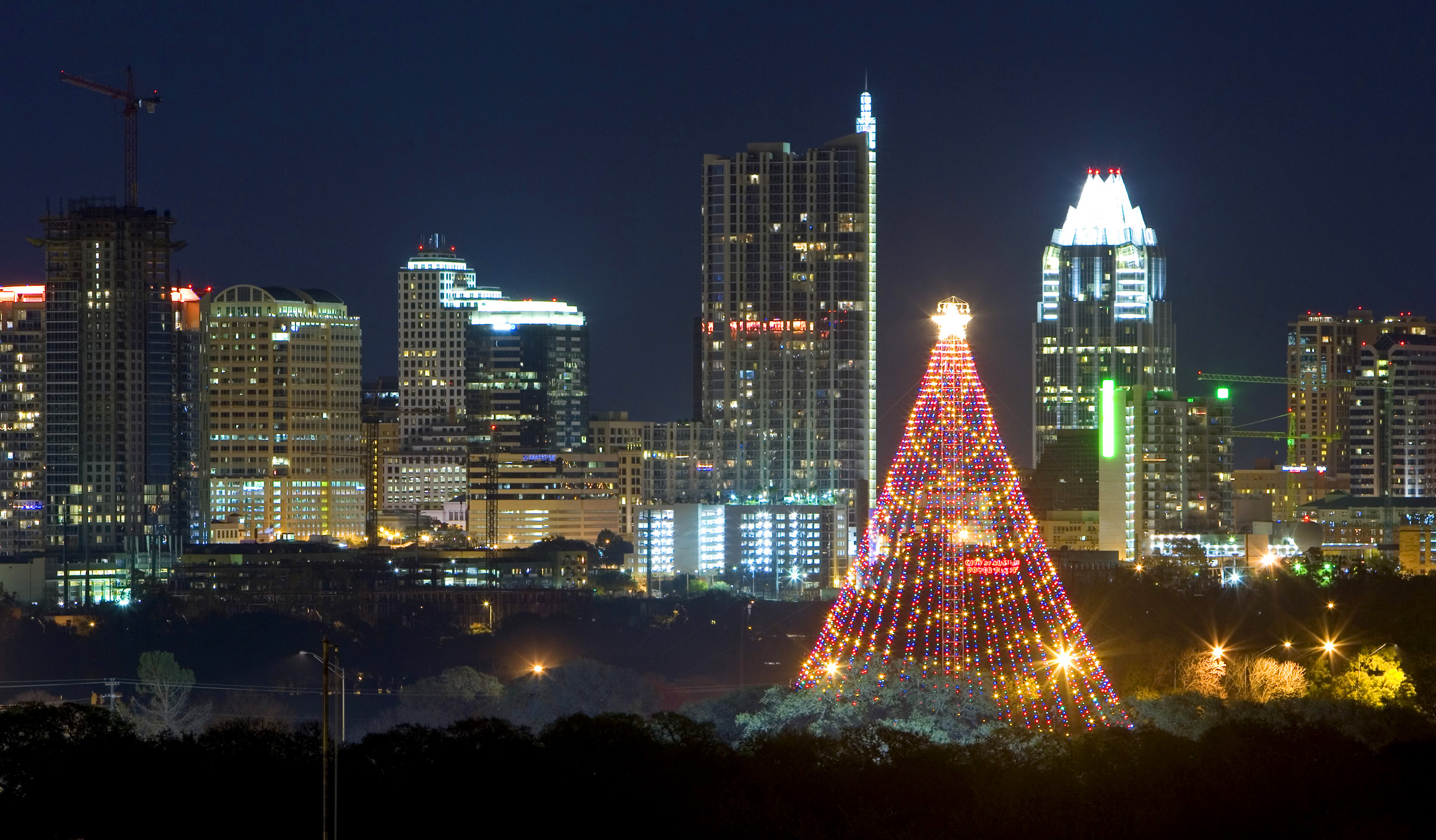 342. Visit the Zilker Tree - 365 Things to Do in Austin, TX